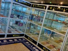 -石家庄正定国际机场-T2航站楼