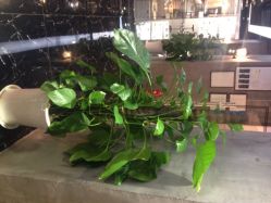 尺度造型(青岛中心店)-PIONEER·韩式