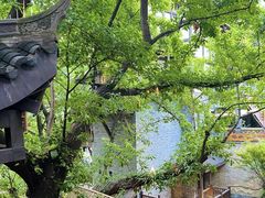 -重庆十八梯传统风貌区