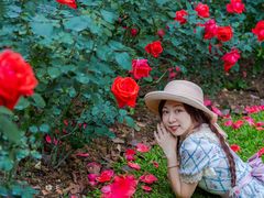 -人民公园(罗湖区)