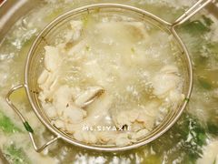 -金砂阿洲鱼册店