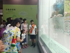 小小科普讲解员-国家自然博物馆