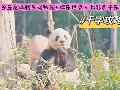 -五龙山野生动物王国