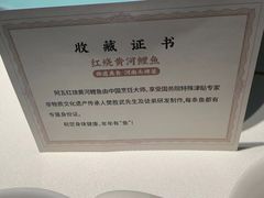 -阿五黄河大鲤鱼(纬三路店)