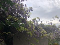 -郑和公园