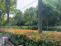-洛阳市隋唐城遗址植物园