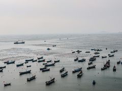 -枸杞岛