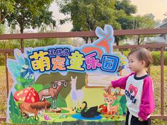 -王借岗森林公园