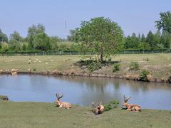 -溱湖国家湿地公园