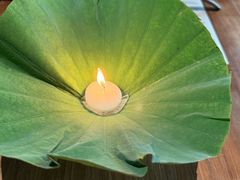 -曲廊院(东四十一条店)