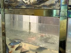 -小乡小镇·传承桐庐土菜·老板亲自烧的菜