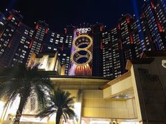 -影汇之星8字形摩天轮