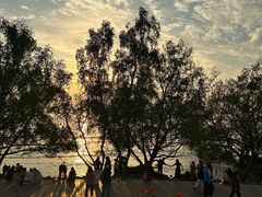 -宝安西湾红树林湿地公园