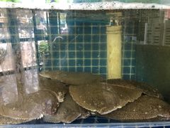 -蟹谢蒸鲜自助餐厅
