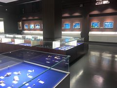-贝壳王国博物馆