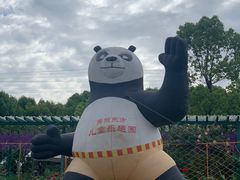 -秀丽东方