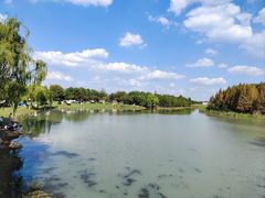 -贡湖湾湿地公园