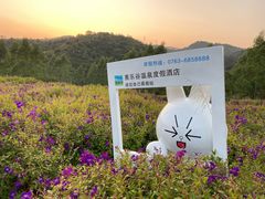 -清远熹乐谷温泉度假酒店