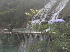 -九龙江国家森林公园