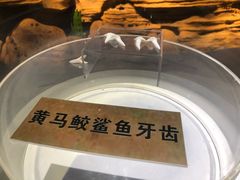 -上海海昌海洋公园-停车场