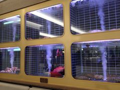 -頂好酒家·经典粤菜(海信广场店)