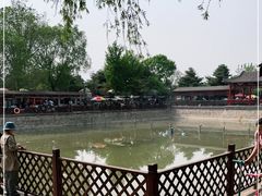 -尚庄度假村·庭台树下·户外烧烤·团建CS·轰趴营地(上庄水库店)