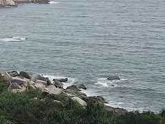 -广东惠东海龟国家级自然保护区