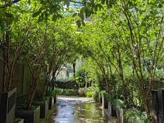 -野蔓果·山野菜(西湖景区·龙井茶田店)