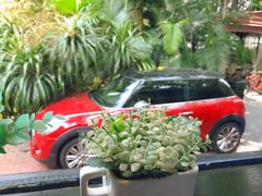 -火车头法国西餐厅