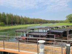 -苏州太湖国家湿地公园