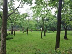 -晓港公园