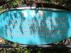 -大岭沟猕猴桃谷风景区