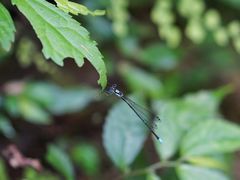 -华蓥山天意谷景区