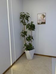 -天姿美发·时尚造型