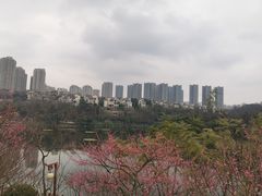 -重庆彩云湖湿地公园