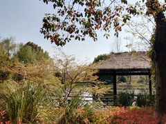 -澹台湖公园
