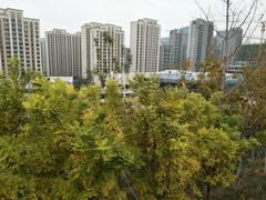 -解放济南战役茂岭山战场遗址