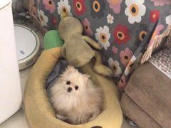 -诚品书店(敦南店)