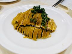 青花椒卤鸡（半个）-顺风海鲜港(金玉兰店)