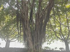-南宁南湖公园