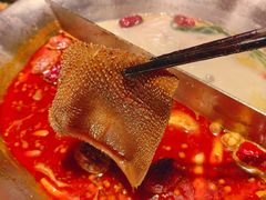 -湊湊火锅·茶憩(石家庄万象城店)