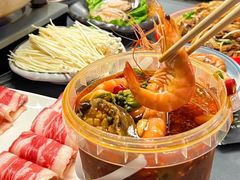 -金龙·打边炉(南京西路店)