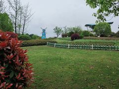 -铁山坪森林公园