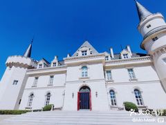 -北京张裕爱斐堡酒庄