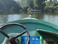 -晓港公园