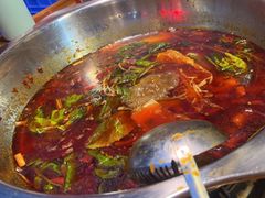 -金鼎雪山牦牛杂火锅(理县总店)