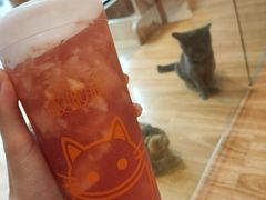 -啵啵喵·猫咖(攀华国际店)