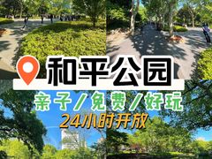 -和平公园