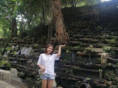 -老木棉·匠园