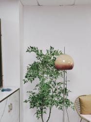 -变美丽半永久纹眉连锁·机器野生眉·洗眉
